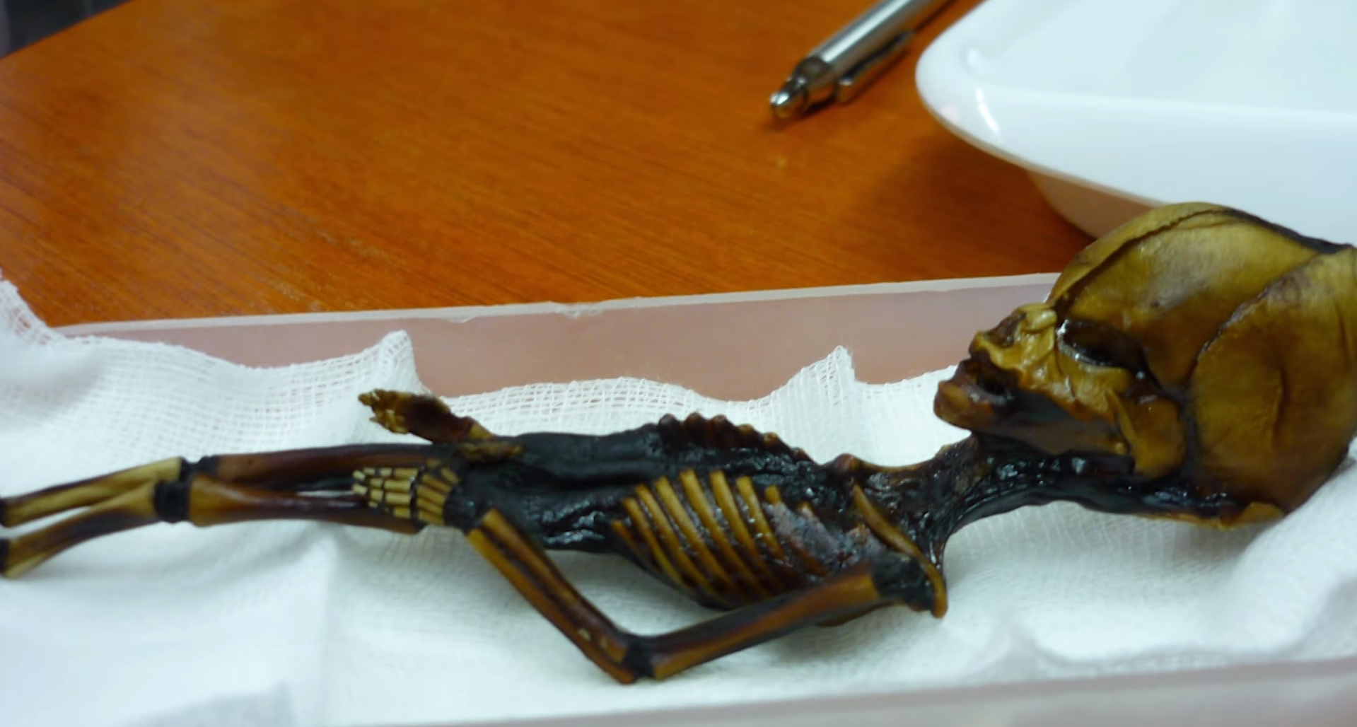 &quot;Гуманоид Атакамы&quot;. Как выглядит загадочная крошечная мумия, найденная учеными, и что о ней известно