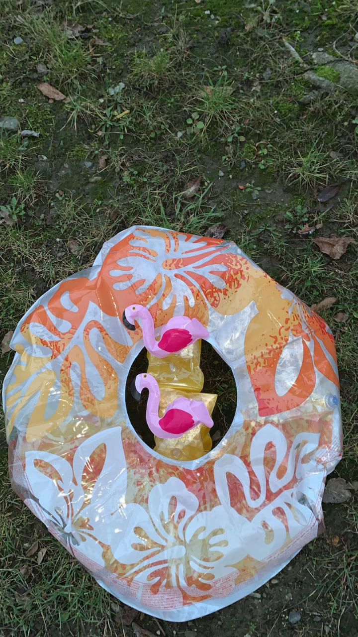 У нарукавниках з рожевими фламінго: на Закарпатті затримали ухилянтів-плавців (фото)