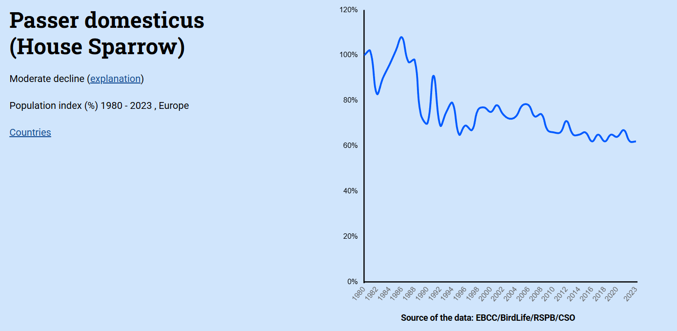 Куда исчезают воробьи и какие птицы могут &quot;говорить&quot;: интервью с орнитологом
