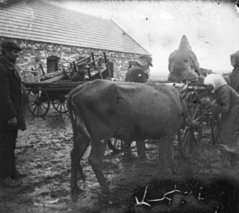 Вся правда про Голодомор: інтерв’ю з істориком про злочини сталінського режиму