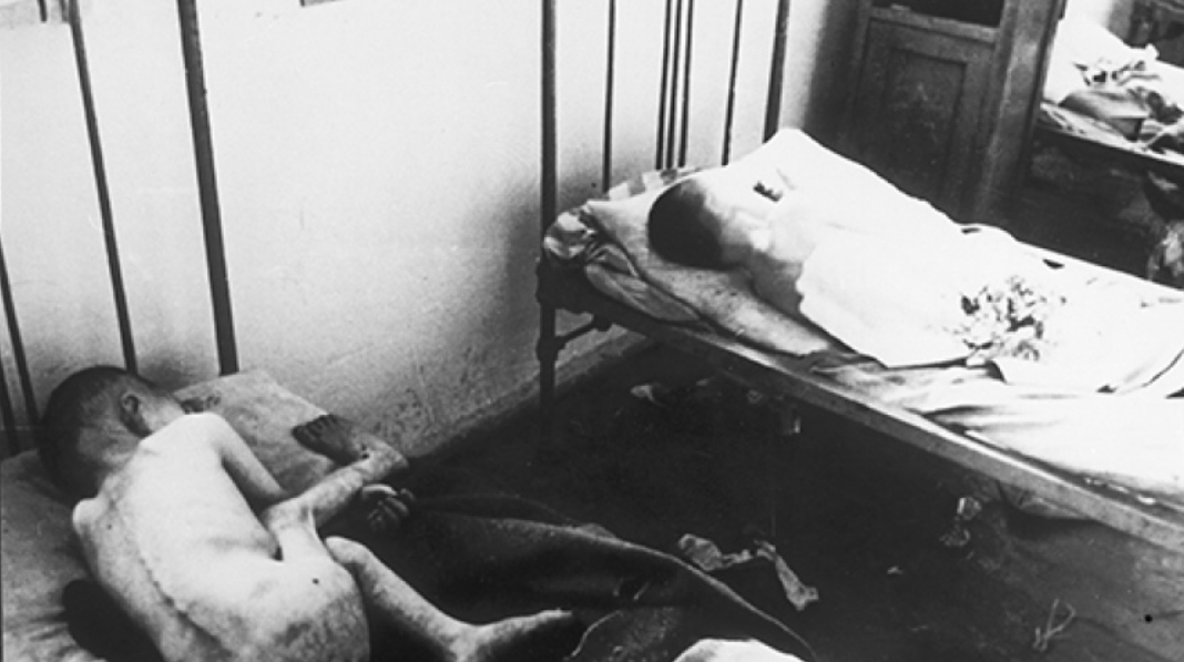 Вся правда про Голодомор: інтерв’ю з істориком про злочини сталінського режиму