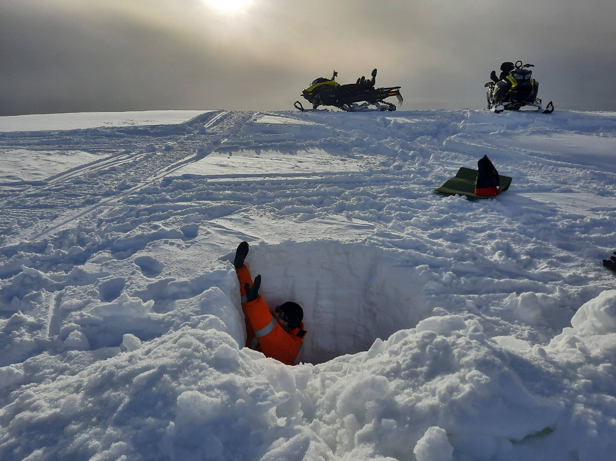 Українську антарктичну експедицію вперше в історії очолить жінка: про кого йдеться