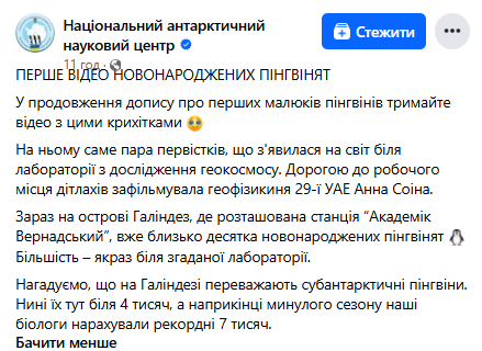 Полярники со станции &quot;Академик Вернадский&quot; показали первое видео новорожденных пингвинят