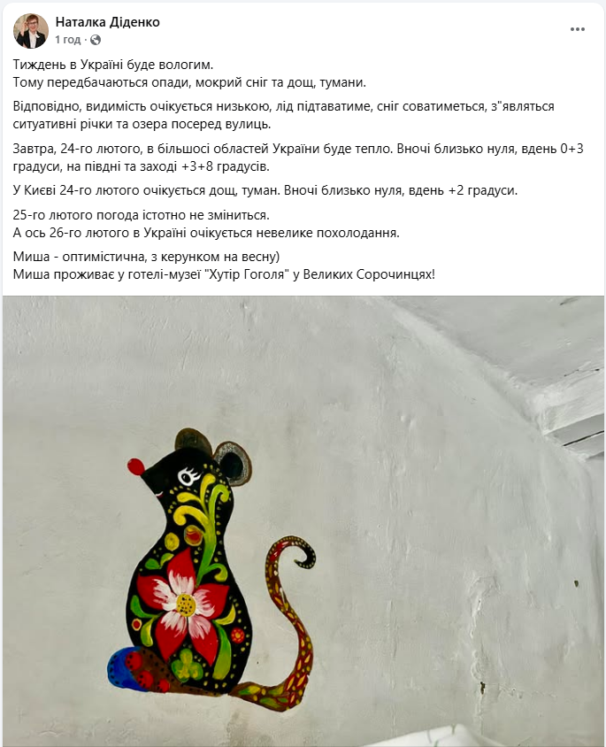 Мокрый снег, дождь, гололедица и подъем воды в реках: где в Украине погода завтра опасная