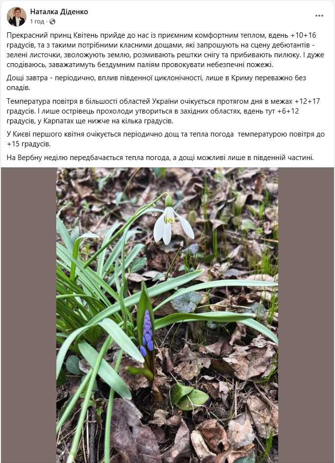 Тепло з дощами несе небезпеку: яку погоду обіцяють українцям завтра і де річки "переповнені"