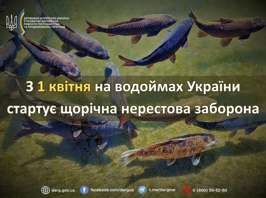 "Сезон тишины" на водоемах: как законно рыбачить с 1 апреля, чтобы избежать штрафов