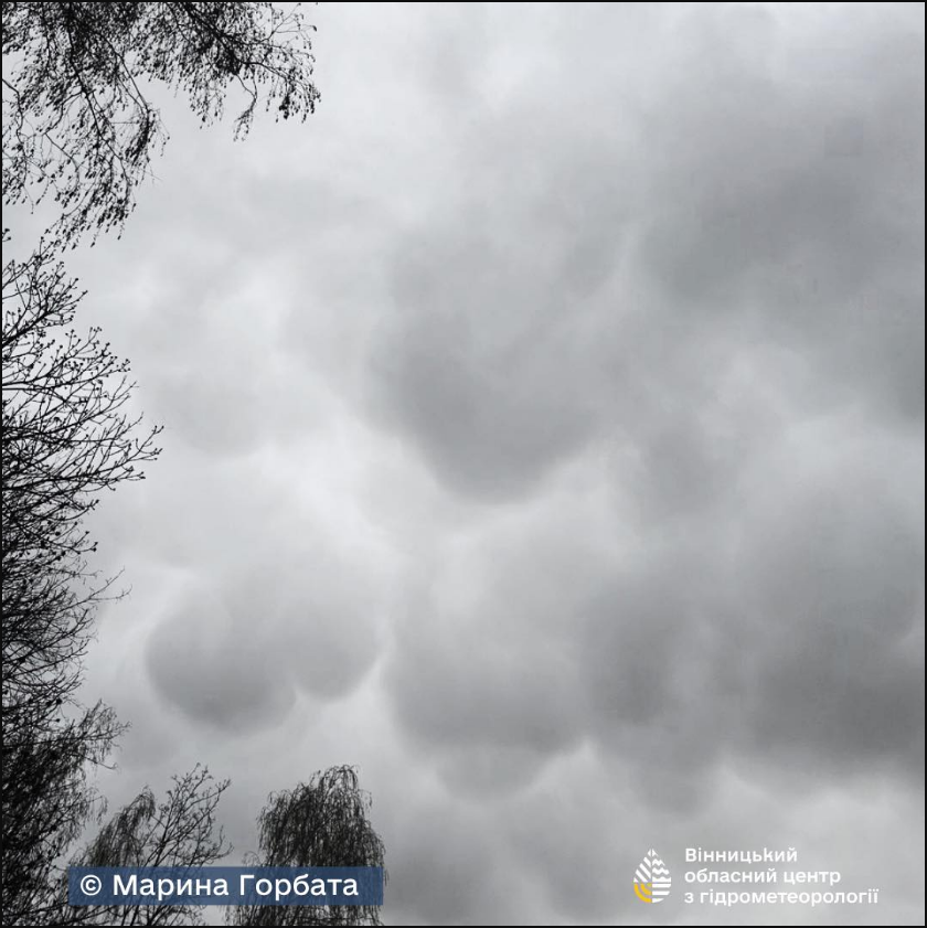 У небі над Вінницею помітили рідкісні хмари: як виглядають містичні Маматуси (фото)