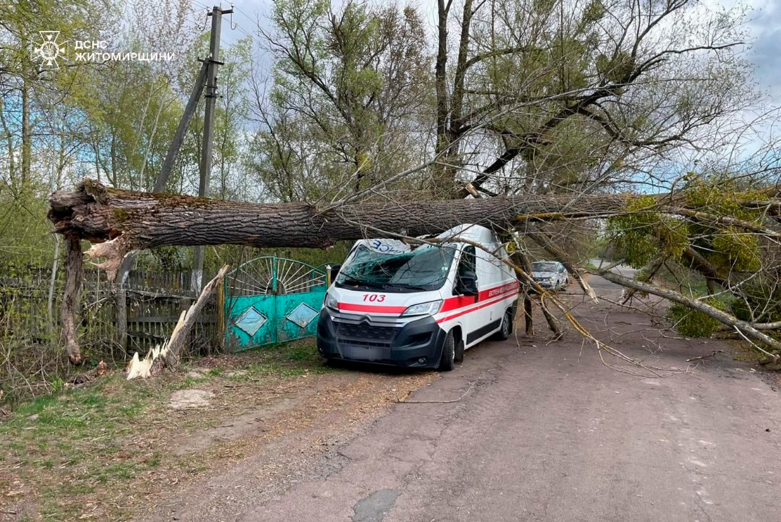 "Деревопад" и ветки на проводах: где в Украине шквальный ветер наделал беды (фото)