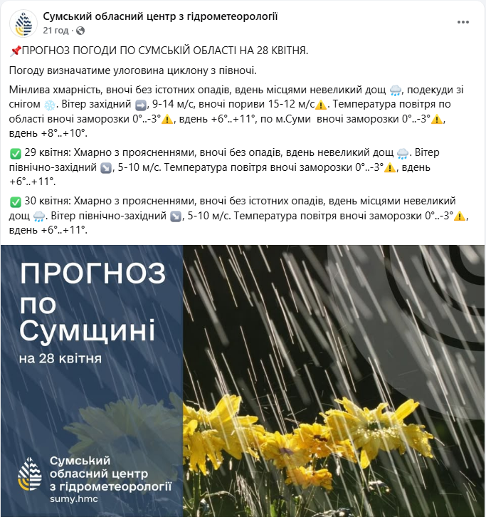 Негода залишила без світла тисячі людей у Сумській області (відео)