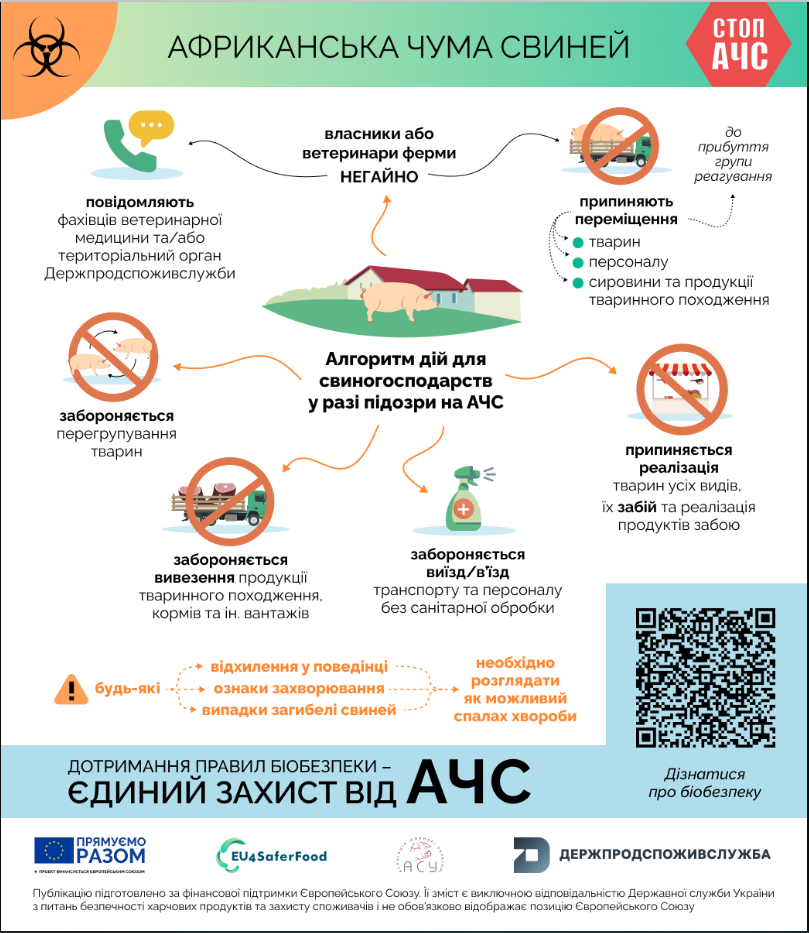В Україні зафіксували спалах африканської чуми: як діяти, щоб вберегти свійських тварин