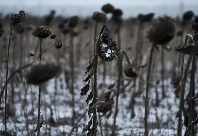 Garlands in trenches: Heartbreaking photos of Ukrainian defenders