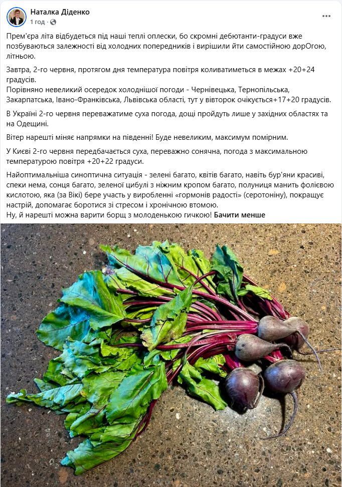 Потепління з характером: де в Україні 2 червня буде дощ і менше градусів