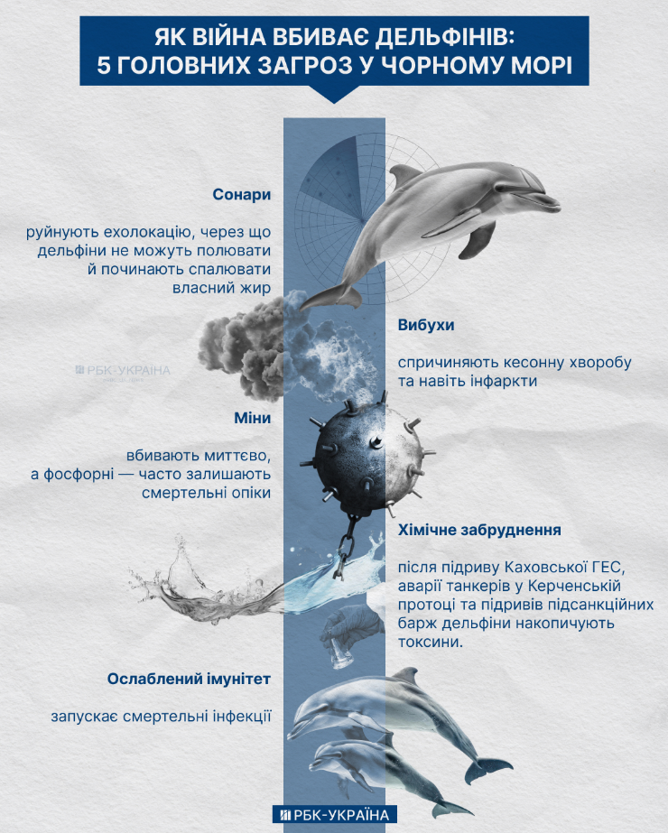 Ціла екосистема. Як війна може "вбити" Чорне море, знищуючи його мешканців