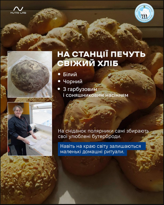 Унікальна кухня на краю світу: чим харчуються щодня українські полярники в Антарктиці