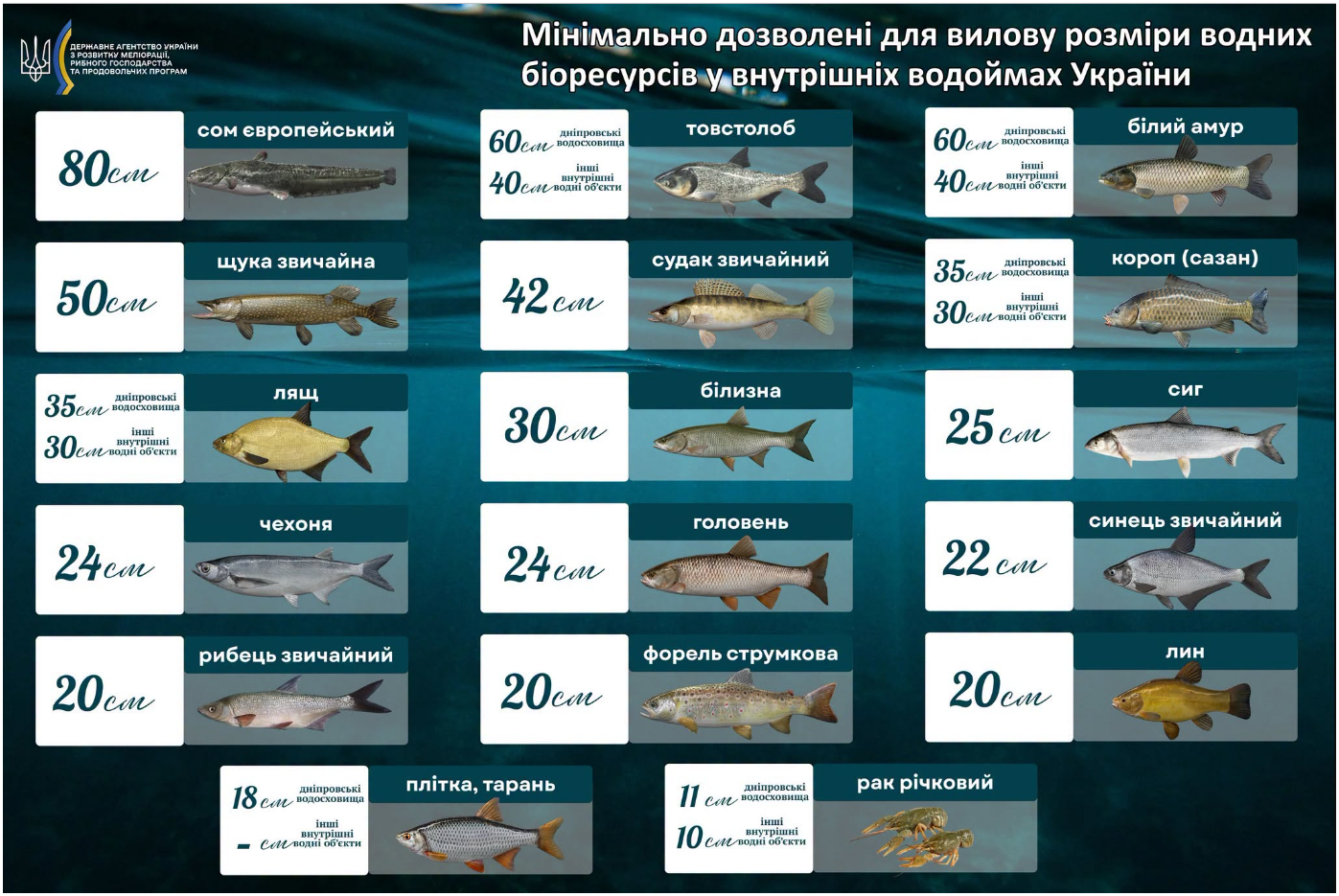 Размер мал, а штраф велик. Какую рыбу ловить в Украине на самом деле запрещено