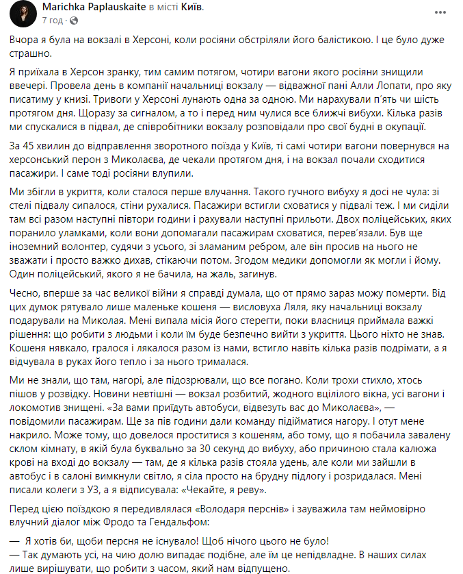 "Спасал лишь маленький котенок". Журналистка рассказала, как пережила обстрел вокзала в Херсоне