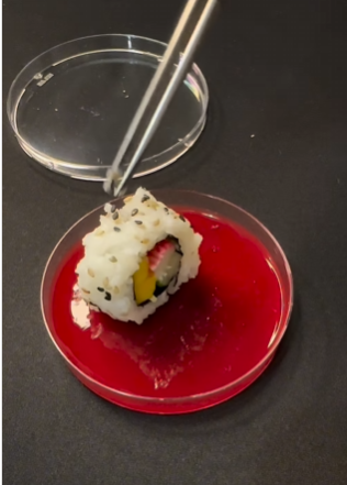 Сколько микробов на суши. Ученый показал то, что трудно &quot;развидеть&quot; (видео)