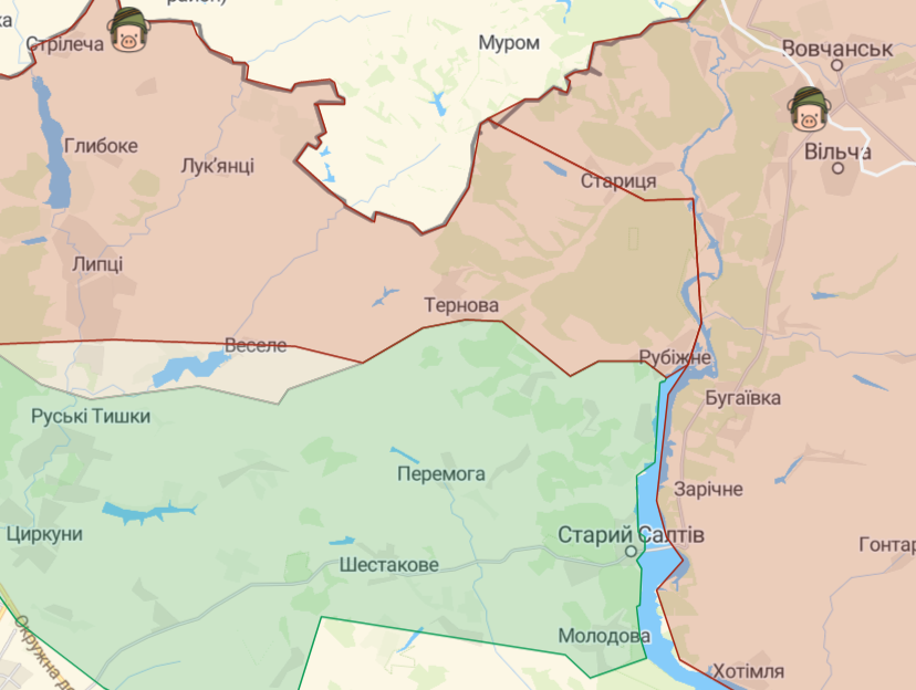 Бойцы "Азова" показали видео спецоперации у границы с РФ в Харьковской области