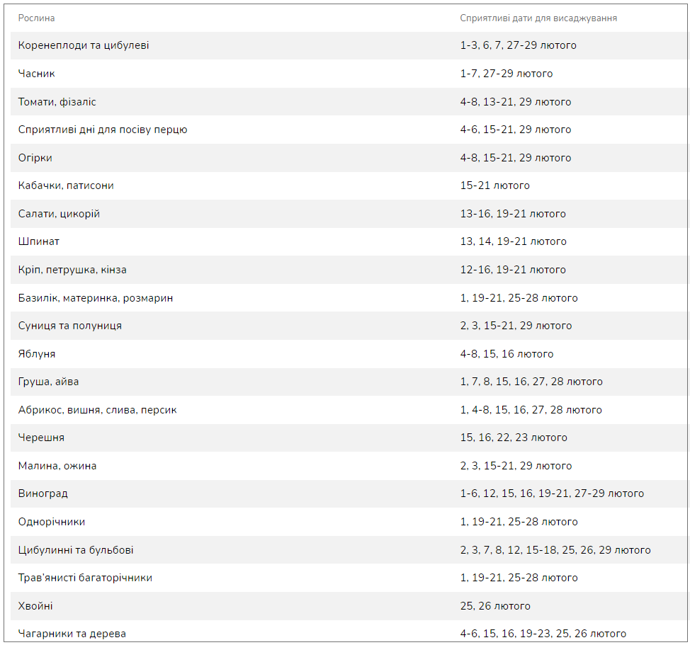 Підготовка до весняного сезону: що садити в лютому на розсаду
