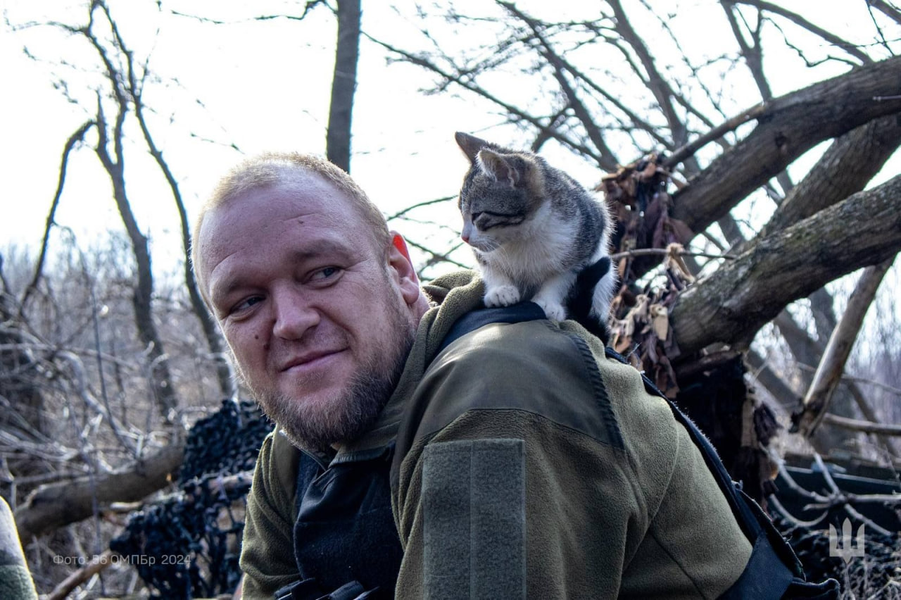 Військові показали &quot;фронтових&quot; котиків. Нічого милішого ви сьогодні точно не побачите