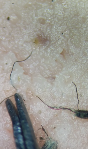 Обычную сосиску показали под микроскопом. Что там &quot;прячется&quot; (видео)