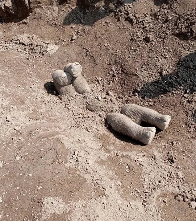 Як слони влаштовують похорони і сумують під час прощання: неймовірні фото