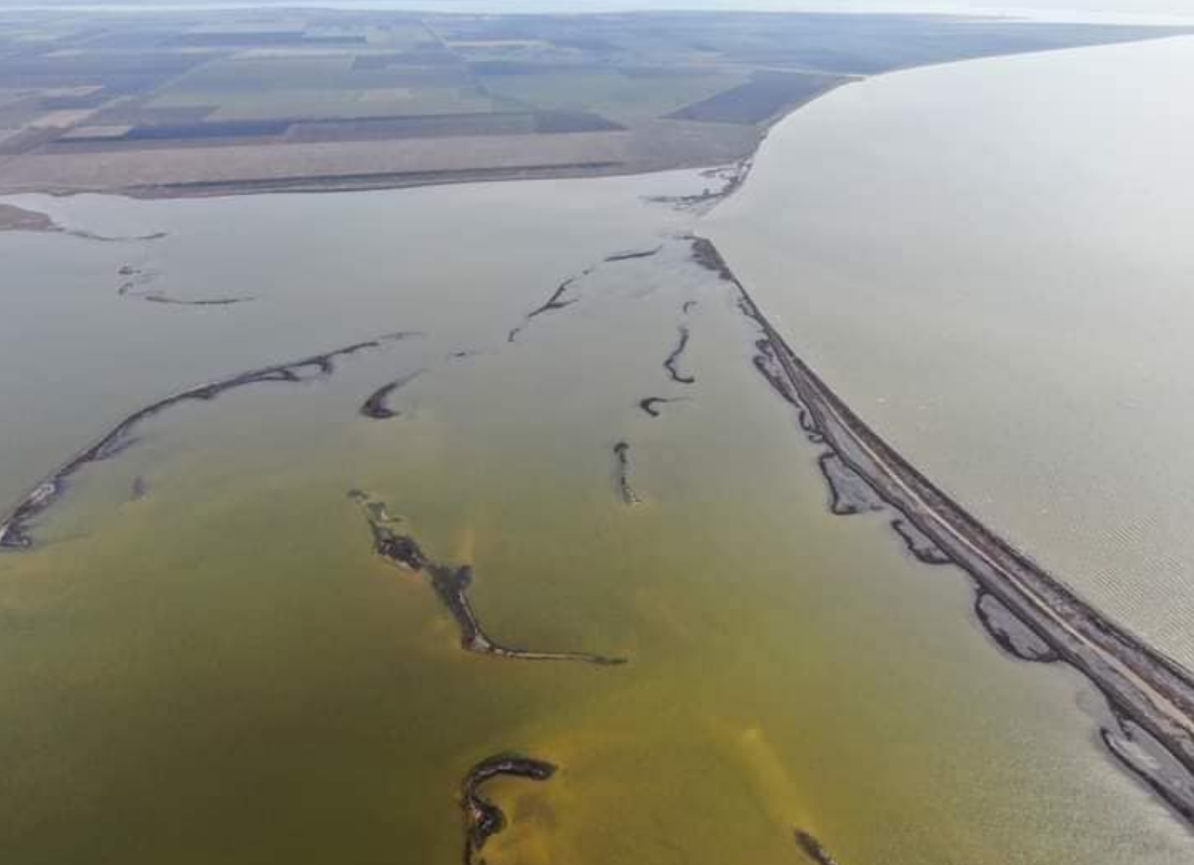 В Украину вернулась стая розовых фламинго: где они могут жить во время войны (фото)