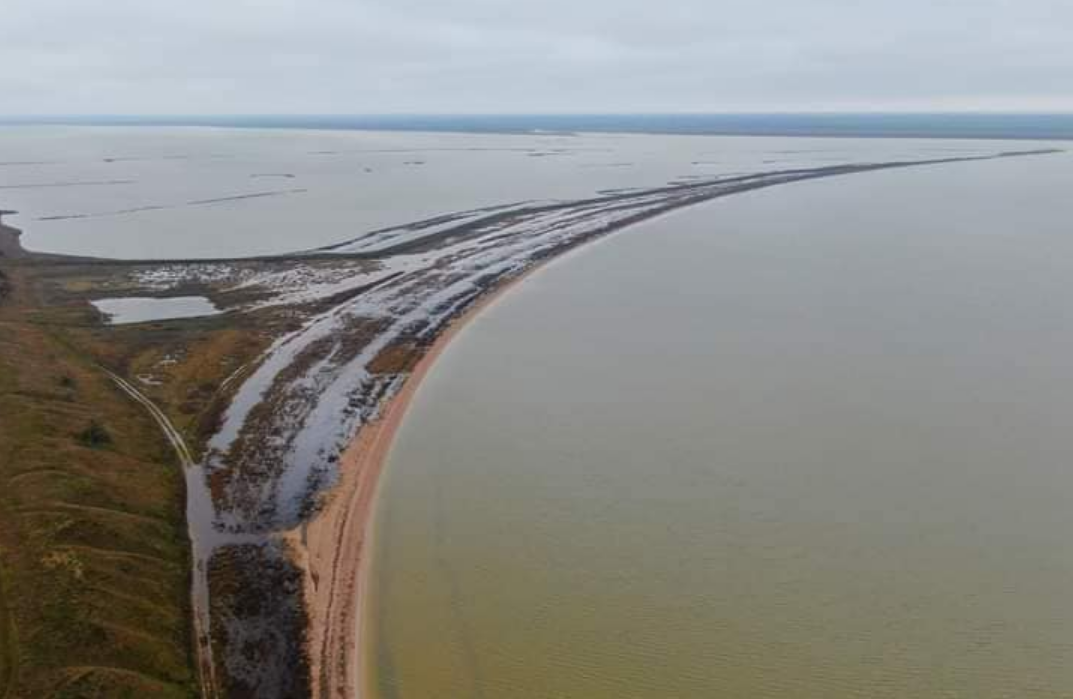 В Украину вернулась стая розовых фламинго: где они могут жить во время войны (фото)