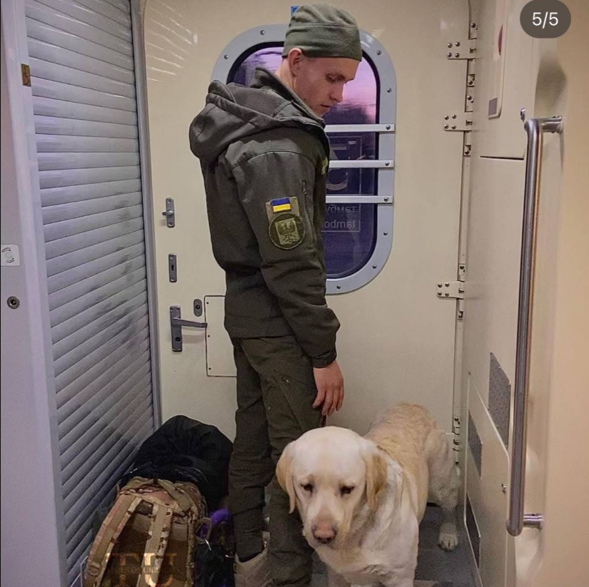 Військового зі службовим собакою не пустили в салон потяга: подробиці скандалу (фото, відео)