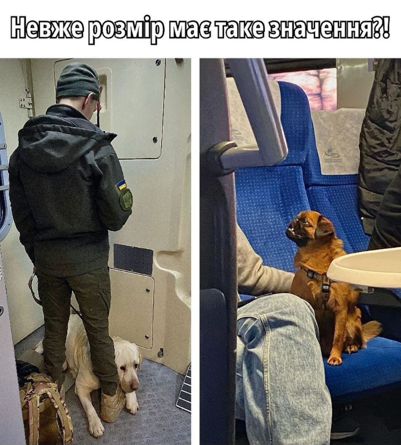 Військового зі службовим собакою не пустили в салон потяга: подробиці скандалу (фото, відео)
