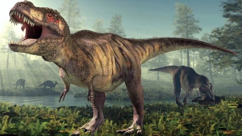 Невероятно, но факт. Ученые определили, отличались ли на самом деле самки динозавров от самцов