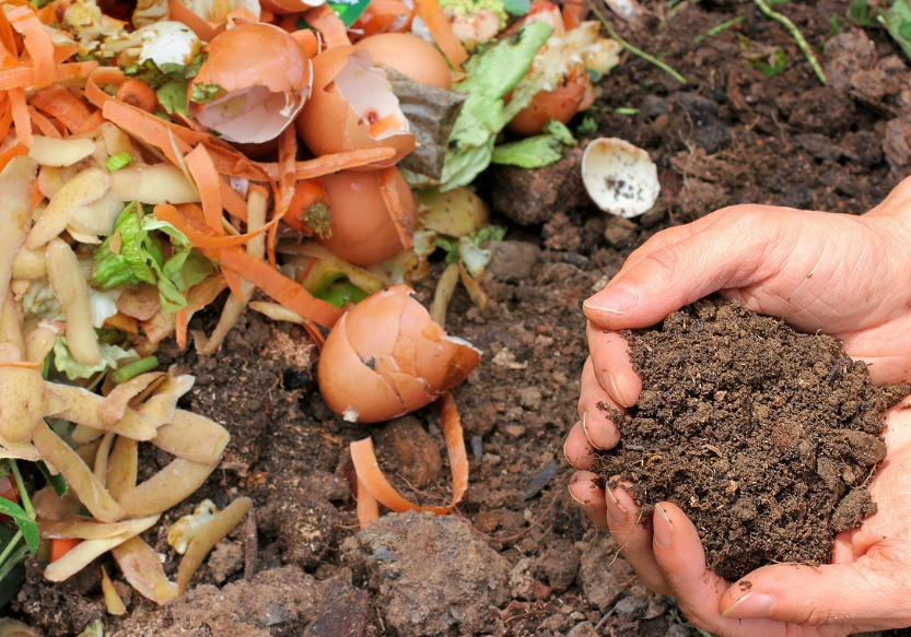 Стане кращою за чорнозем! Як зробити землю більш родючою без добрив