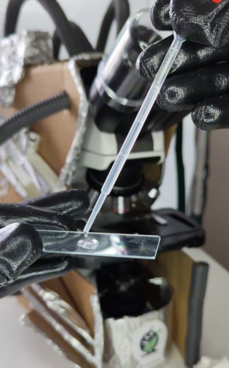 Воду з-під крана показали під мікроскопом, але найбільш &quot;цікавеньке&quot; помітили на аераторі (відео)