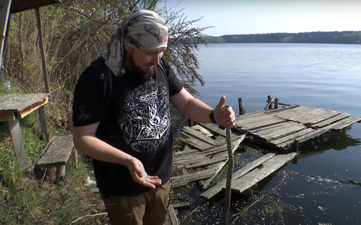 В Киеве все чаще замечают змей: стоит ли бояться &quot;нашествия&quot; и как защититься от укусов