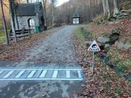 На Закарпатье для ежей обустроили пешеходный переход: как он выглядит