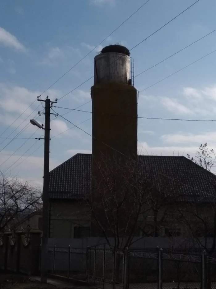 Під Рівним на одній вулиці народилися 7 пар близнюків: відома причина такої народжуваності