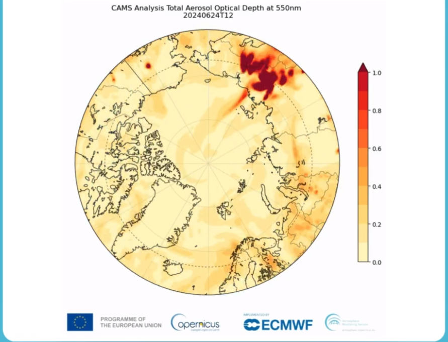 Forest fires devastate Arctic Circle: Scientists sound alarm
