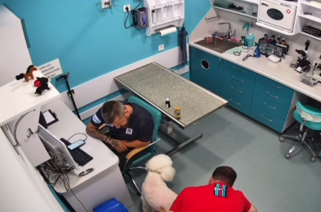 Что угрожает мужчине, который обматерил в ветклинике врача-ветерана на протезах: все детали скандала