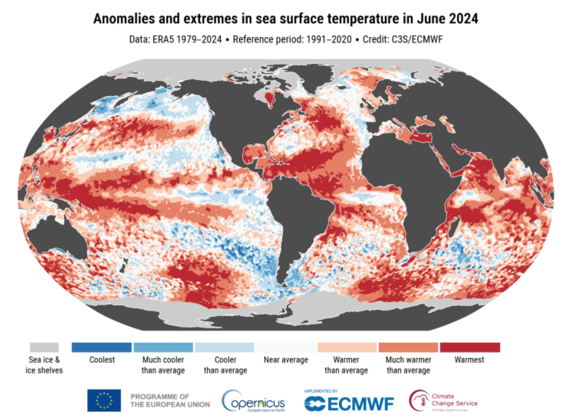 Ученые зафиксировали самый жаркий месяц в истории и объявили &quot;красную тревогу&quot;: подробности