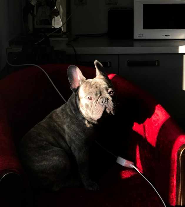 &quot;Кохання з першого погляду&quot;: Алан Бадоєв заявив про &quot;поповнення&quot; в сім'ї (фото)