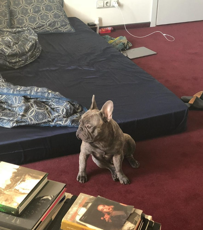 &quot;Кохання з першого погляду&quot;: Алан Бадоєв заявив про &quot;поповнення&quot; в сім'ї (фото)