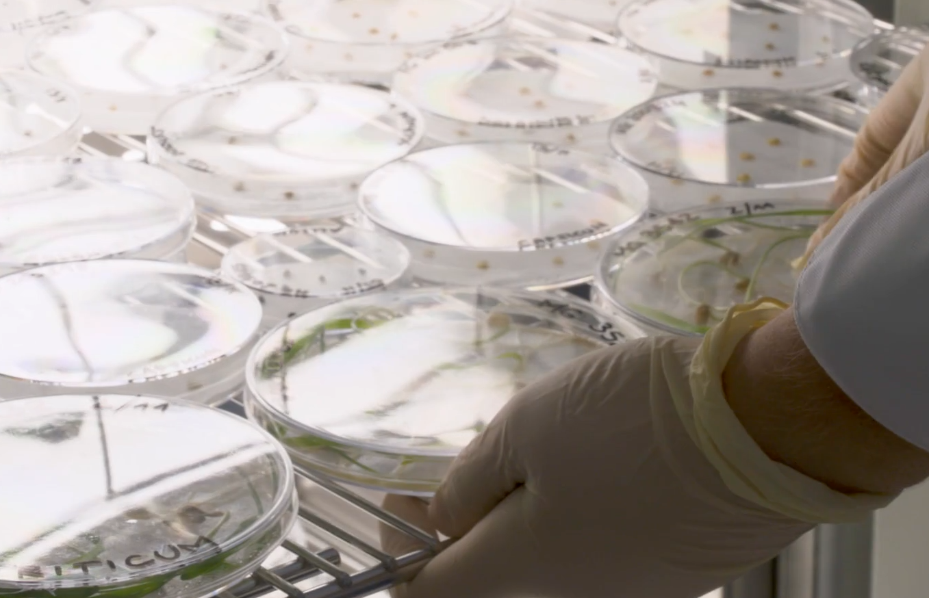 &quot;Сховище Судного дня&quot;. Де знаходиться унікальна споруда й чи пускають туди туристів