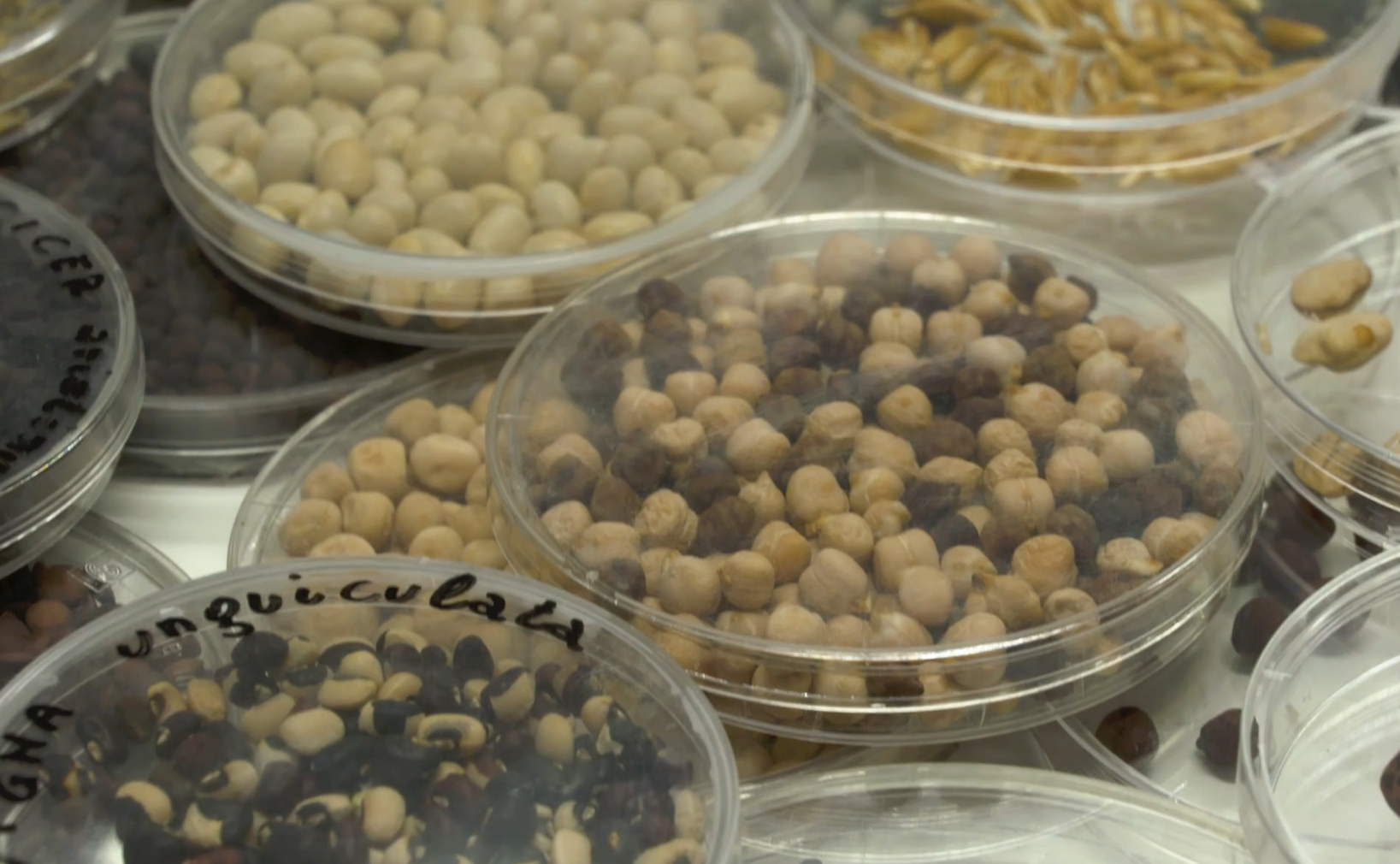 &quot;Сховище Судного дня&quot;. Де знаходиться унікальна споруда й чи пускають туди туристів