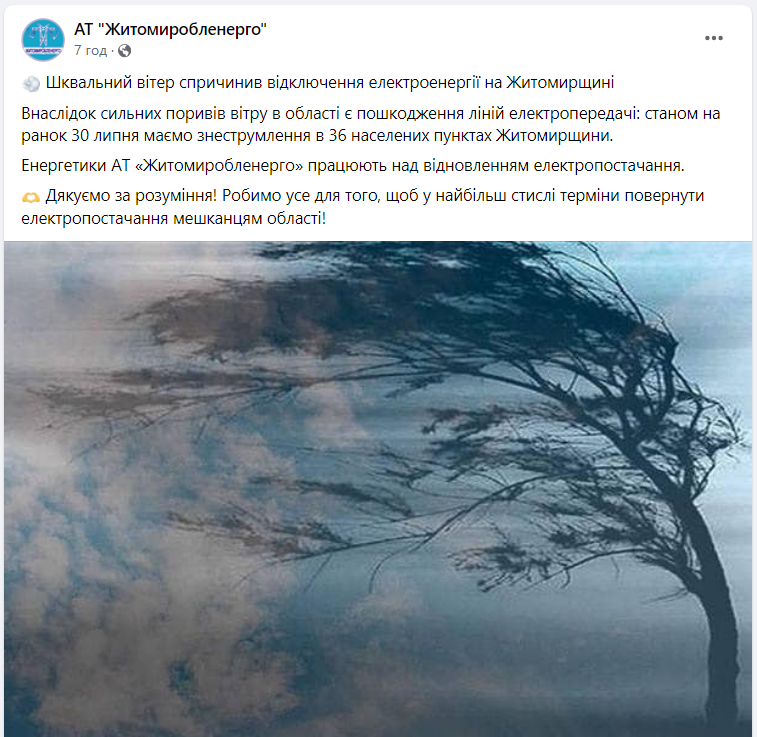 Повалені дерева, побиті будинки й тисячі людей без світла: наслідки негоди в Україні (фото)