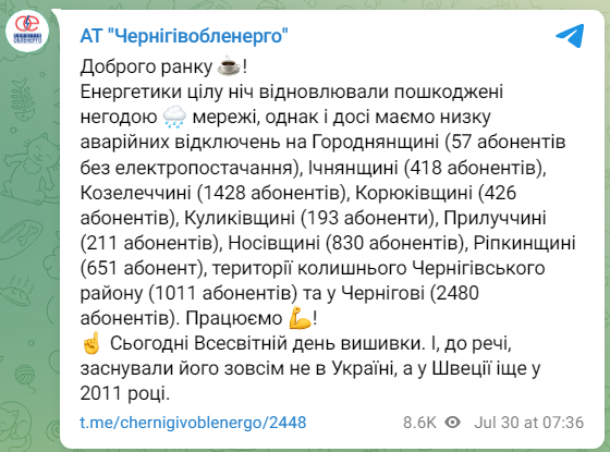 Повалені дерева, побиті будинки й тисячі людей без світла: наслідки негоди в Україні (фото)