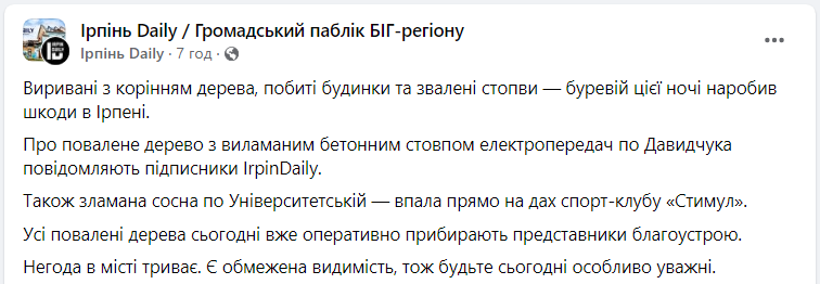 Повалені дерева, побиті будинки й тисячі людей без світла: наслідки негоди в Україні (фото)