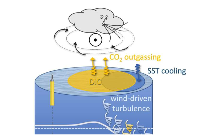 Это губительно влияет на климат. Почему Южный океан выбрасывает углекислый газ в атмосферу