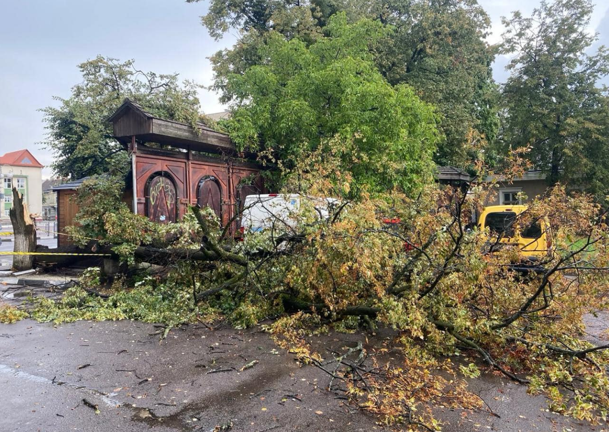 Один из регионов Украины &quot;накрыла&quot; непогода: последствия урагана (фото, видео)