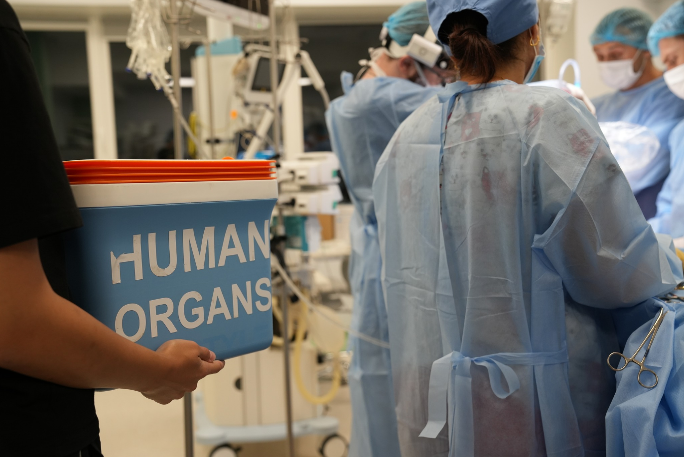 Сама стала донором. Врач спасла несколько жизней после собственной смерти