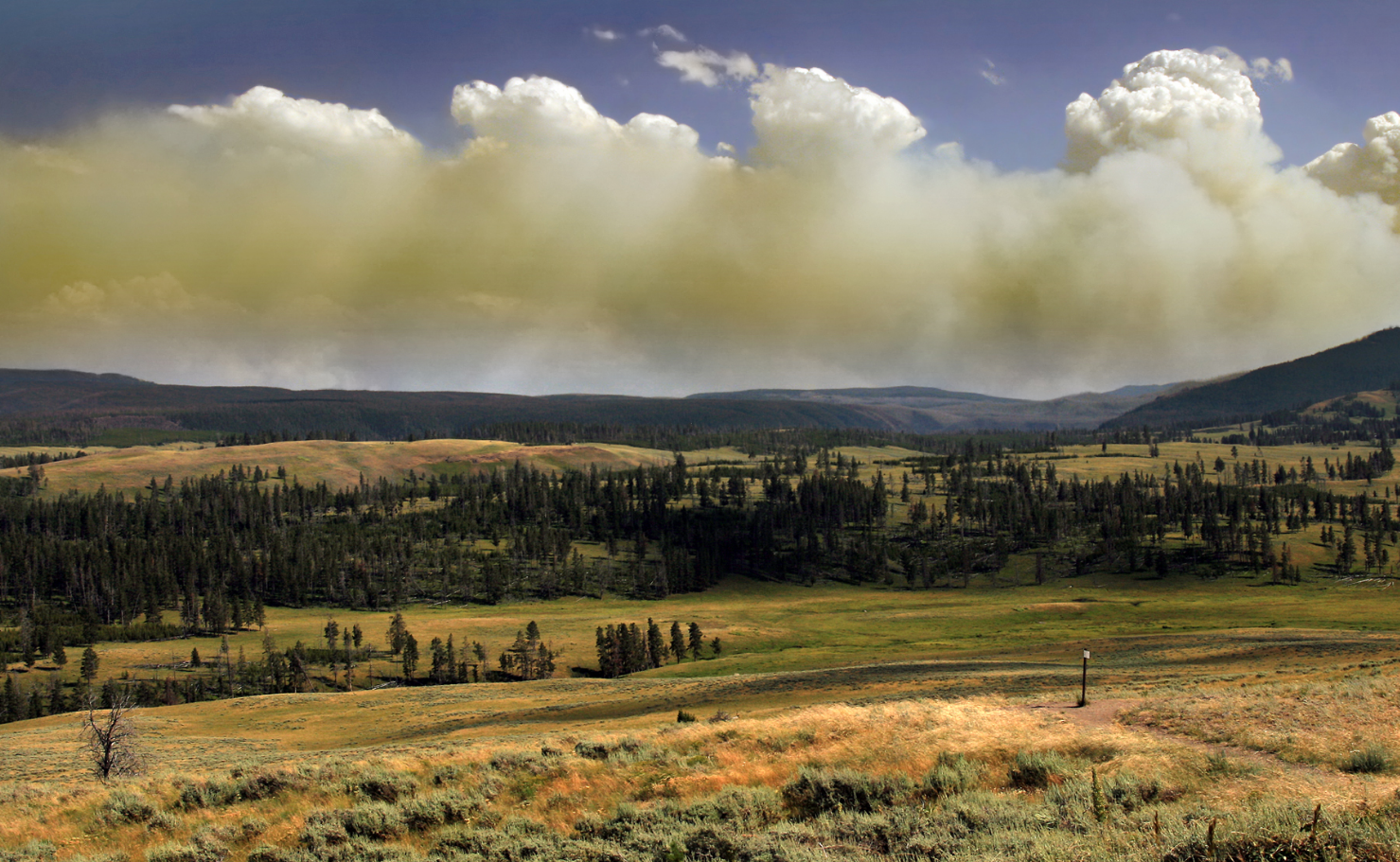 Піднімаються в атмосферу і кидаються блискавками: як виглядають &quot;вогнедишні&quot; хмари